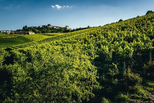 Agriturismo Dacapo