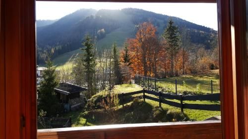 Outdoor Pictures 7