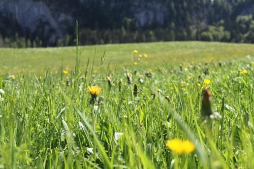 Outdoor Pictures 23