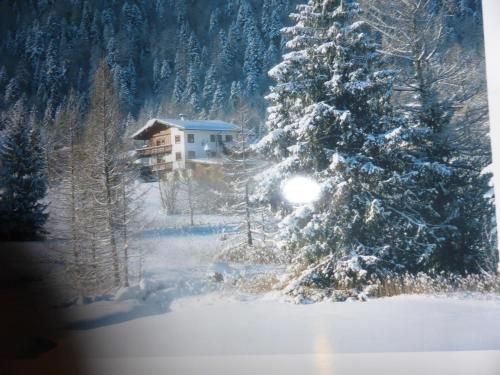 Outdoor Pictures 1