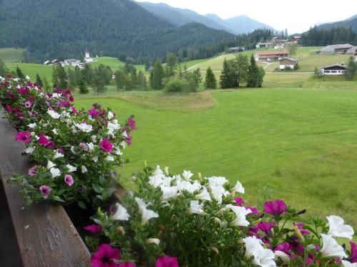 Outdoor Pictures 17