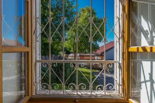 Outdoor Pictures 15
