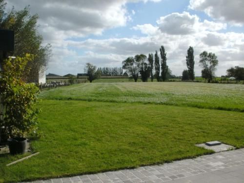 Outdoor Pictures 9
