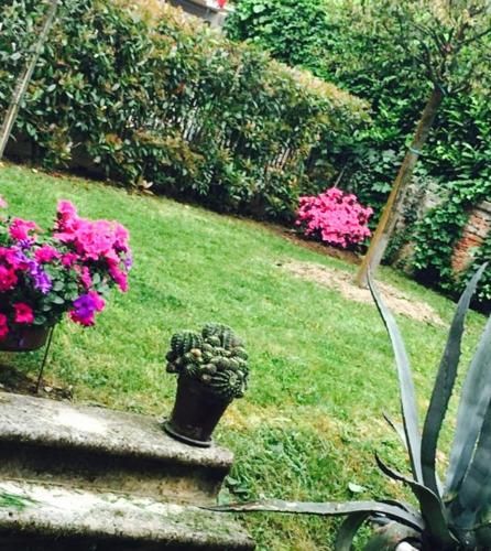 Outdoor Pictures 6