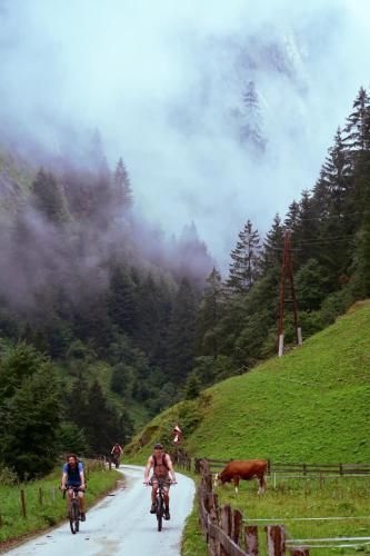 Outdoor Pictures 22