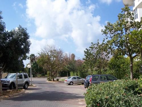 Outdoor Pictures 15