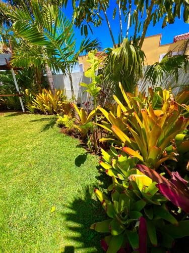 Outdoor Pictures 20