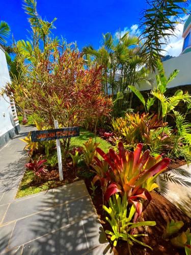 Outdoor Pictures 24