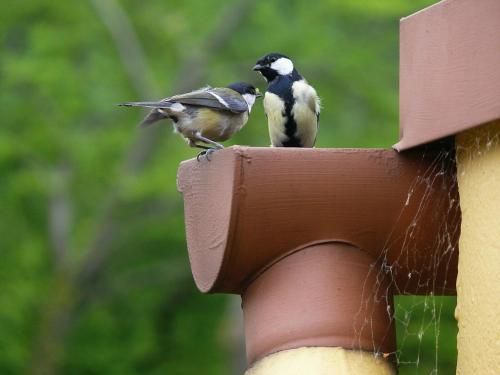Outdoor Pictures 8