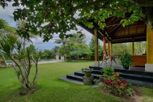 Outdoor Pictures 24