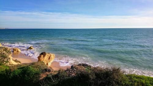 Outdoor Pictures 15