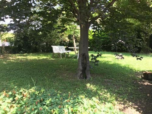 Outdoor Pictures 17