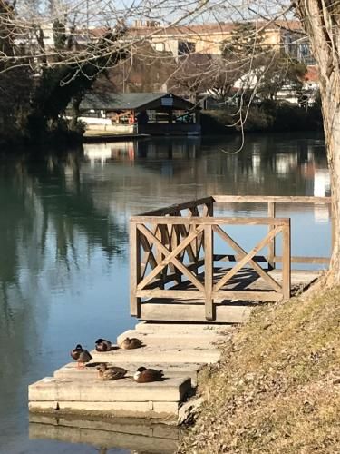 Outdoor Pictures 21