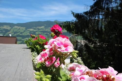 Outdoor Pictures 23