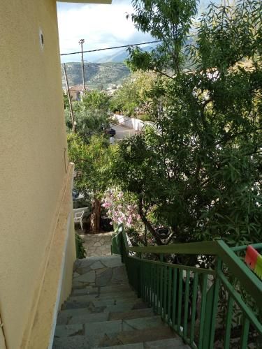 Outdoor Pictures 9