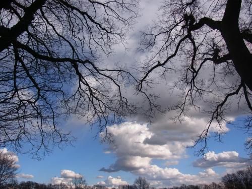 Outdoor Pictures 17
