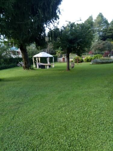 Outdoor Pictures 4