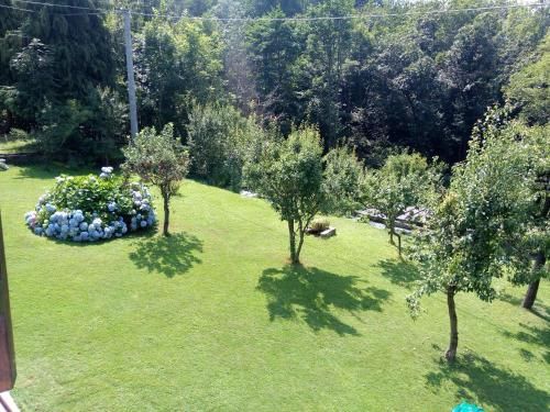 Outdoor Pictures 7