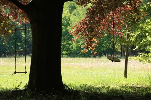 Outdoor Pictures 9