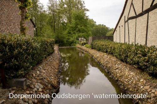 Outdoor Pictures 15