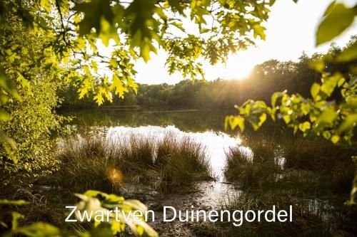 Outdoor Pictures 20
