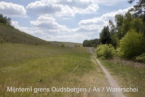 Outdoor Pictures 21