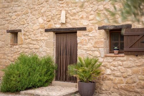 Outdoor Pictures 24
