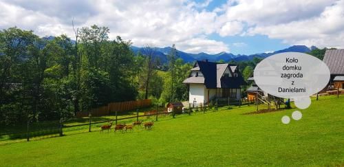 Outdoor Pictures 23