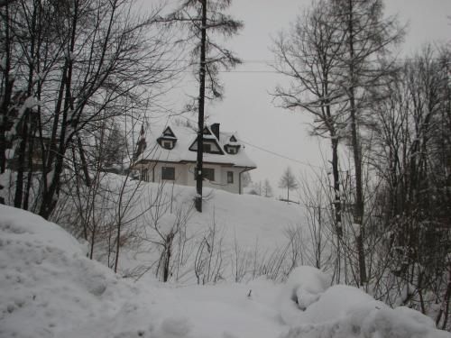Outdoor Pictures 1