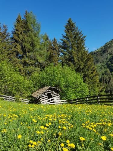 Outdoor Pictures 21