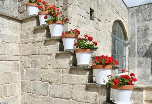 Outdoor Pictures 24