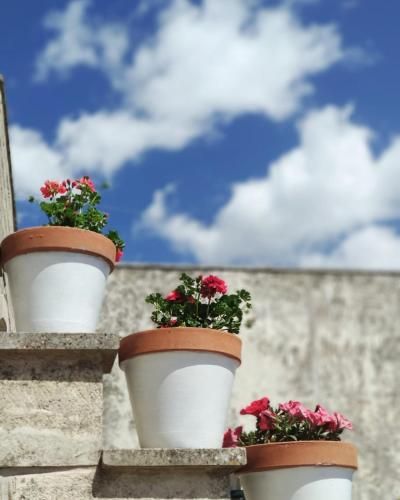 Outdoor Pictures 14