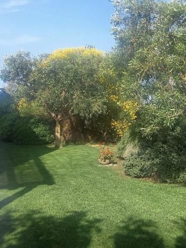 Outdoor Pictures 9