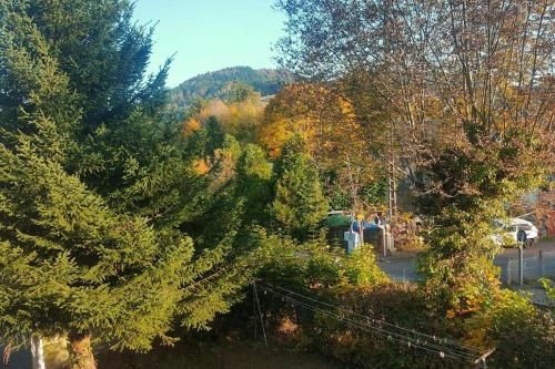 Outdoor Pictures 10
