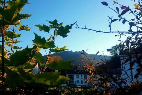 Outdoor Pictures 11