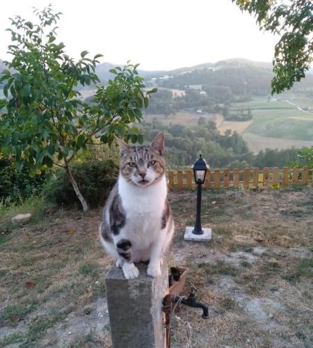 Outdoor Pictures 2