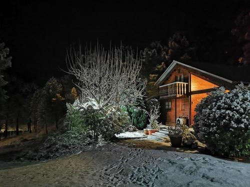 Outdoor Pictures 21