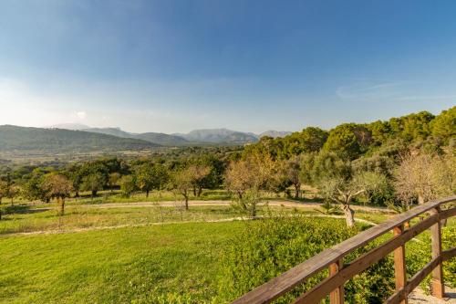 Outdoor Pictures 24