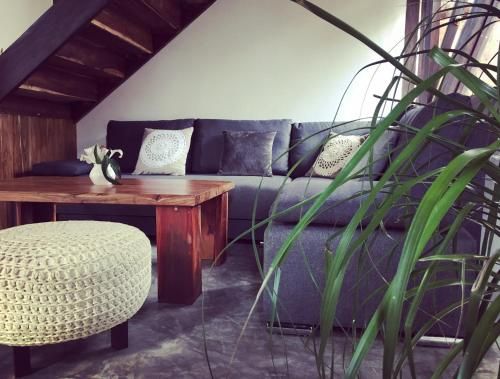 Nahouse Jungle Lodges