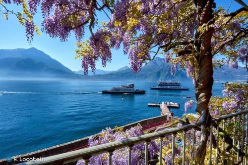 Outdoor Pictures 21