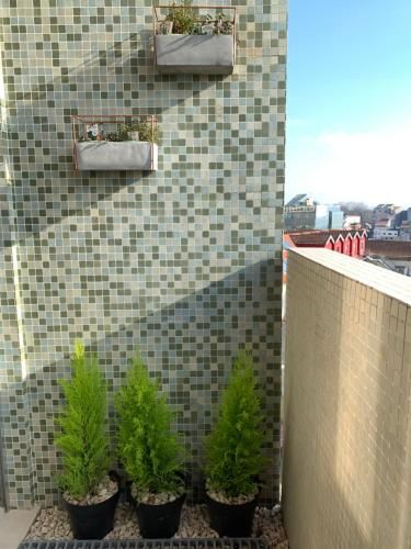 Outdoor Pictures 7