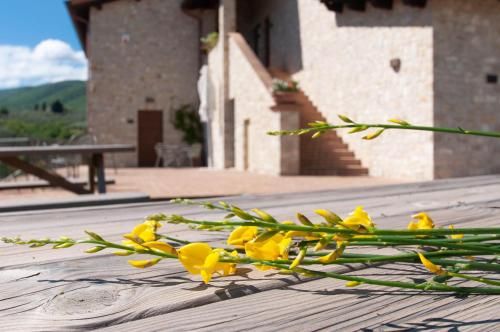 Outdoor Pictures 21