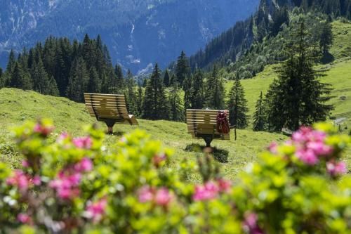 Outdoor Pictures 23