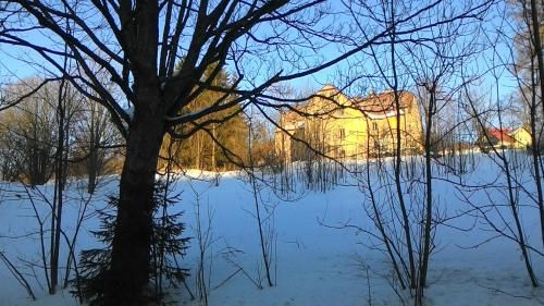 Outdoor Pictures 22