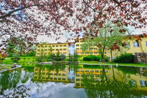 Outdoor Pictures 21