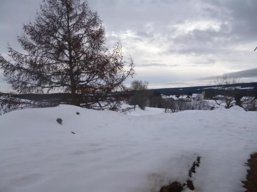 Ferienwohnung Schwarzwald-Alpenblick