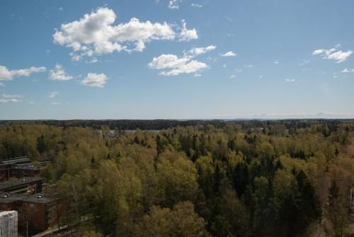 Outdoor Pictures 1