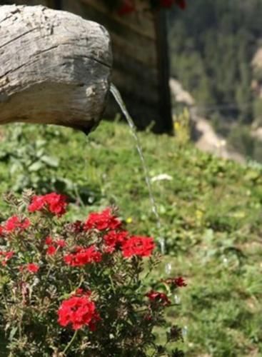 Le Sorè Hameau des Chazals Nevache Hautes Alpes