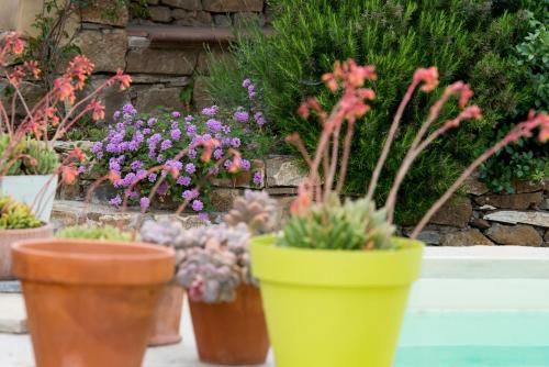 Outdoor Pictures 20
