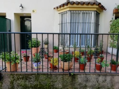 Outdoor Pictures 5